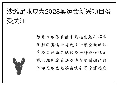 沙滩足球成为2028奥运会新兴项目备受关注 沙滩足球成为2028奥运会新兴项目备受关注